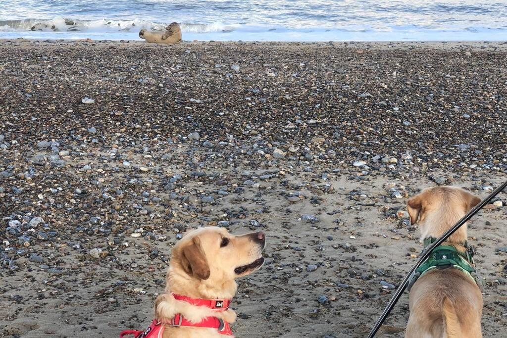 Dog Friendly Cottage 2 Mins To Beach With Hot Tub And Zappi Ev Lessingham Buitenkant foto